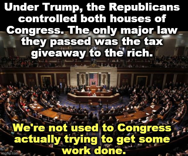 The Republican Party is a pimple on the butt of America. | Under Trump, the Republicans 
controlled both houses of 
Congress. The only major law 
they passed was the tax 
giveaway to the rich. We're not used to Congress 
actually trying to get some 
work done. | image tagged in congress,relevant,work,progress,help | made w/ Imgflip meme maker