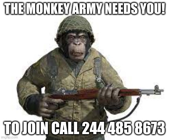 monkey war | THE MONKEY ARMY NEEDS YOU! TO JOIN CALL 244 485 8673 | image tagged in join the war,monkey | made w/ Imgflip meme maker
