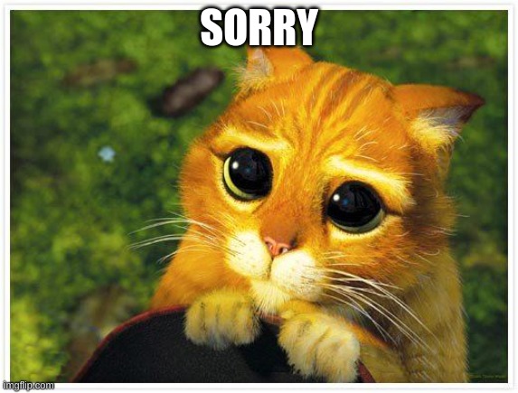 Sorry Kitty | SORRY | image tagged in sorry kitty | made w/ Imgflip meme maker