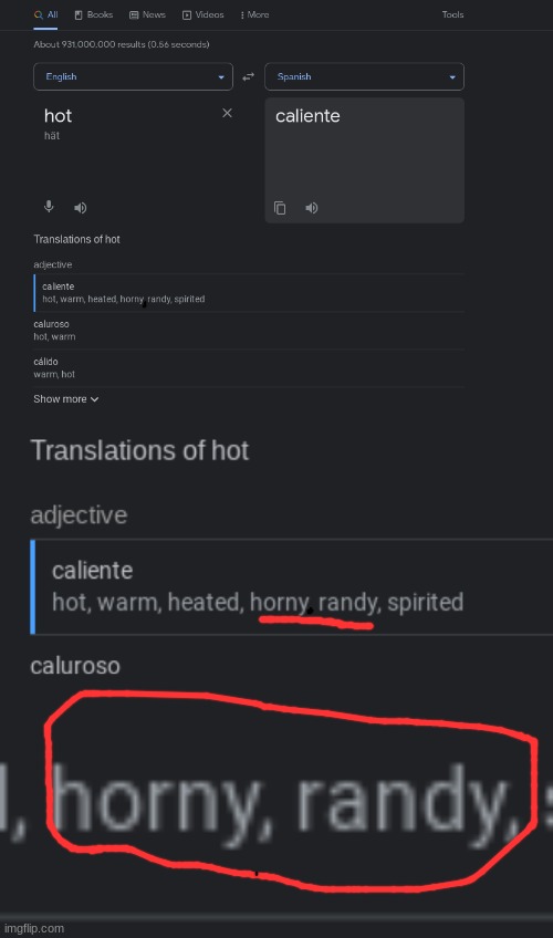 wtf-is-wrong-with-google-translate-imgflip