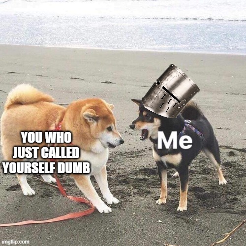 H E Y | YOU WHO JUST CALLED YOURSELF DUMB | image tagged in wholesome doges at the beach | made w/ Imgflip meme maker