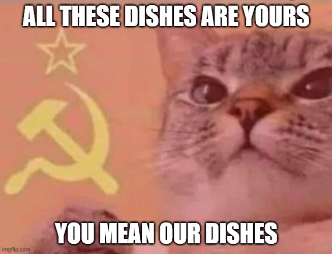 When its time to clean dishes... |  ALL THESE DISHES ARE YOURS; YOU MEAN OUR DISHES | image tagged in communist cat | made w/ Imgflip meme maker