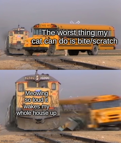 cats lol | The worst thing my cat can do is bite/scratch; Meowing so loud it wakes my whole house up | image tagged in a train hitting a school bus | made w/ Imgflip meme maker