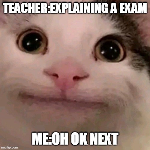 Beluga | TEACHER:EXPLAINING A EXAM; ME:OH OK NEXT | image tagged in beluga | made w/ Imgflip meme maker
