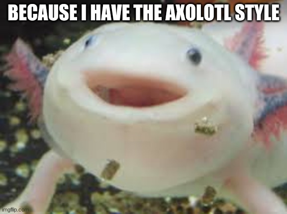 axolotl | BECAUSE I HAVE THE AXOLOTL STYLE | image tagged in axolotl | made w/ Imgflip meme maker