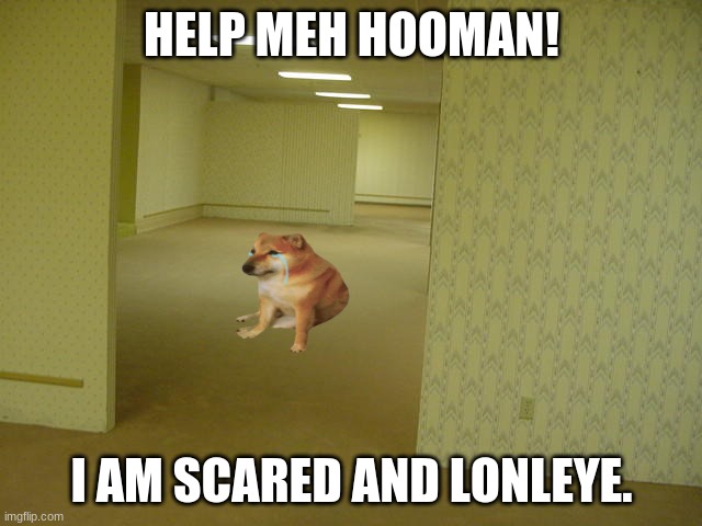 Poor Cheems | HELP MEH HOOMAN! I AM SCARED AND LONLEYE. | image tagged in the backrooms,cheems,buff doge vs crying cheems,scary,poor guy,aww | made w/ Imgflip meme maker