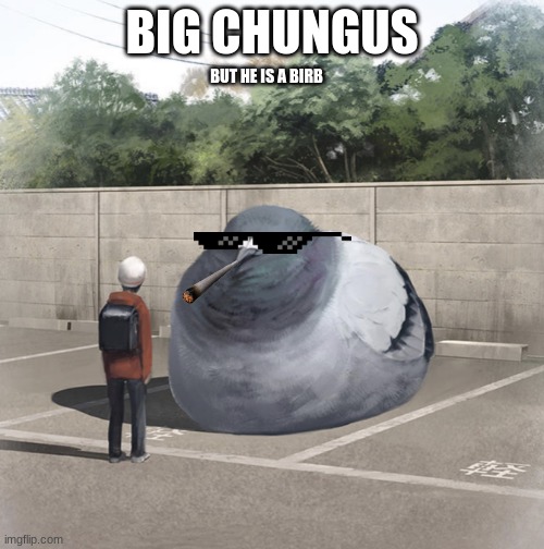 Birb Chungus | BIG CHUNGUS; BUT HE IS A BIRB | image tagged in beeg birb,big chungus,memes | made w/ Imgflip meme maker