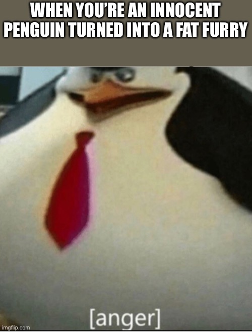 [anger] | WHEN YOU’RE AN INNOCENT PENGUIN TURNED INTO A FAT FURRY | image tagged in anger | made w/ Imgflip meme maker