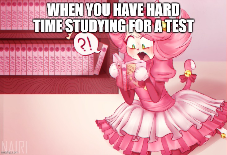 Mad mew mew | WHEN YOU HAVE HARD TIME STUDYING FOR A TEST | image tagged in mad mew mew | made w/ Imgflip meme maker