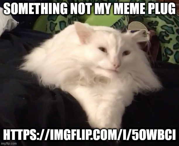 Thurston Waffles | SOMETHING NOT MY MEME PLUG; HTTPS://IMGFLIP.COM/I/5OWBCI | image tagged in thurston waffles | made w/ Imgflip meme maker