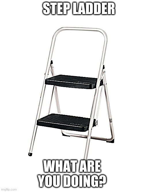 jm | STEP LADDER; WHAT ARE YOU DOING? | image tagged in jm | made w/ Imgflip meme maker