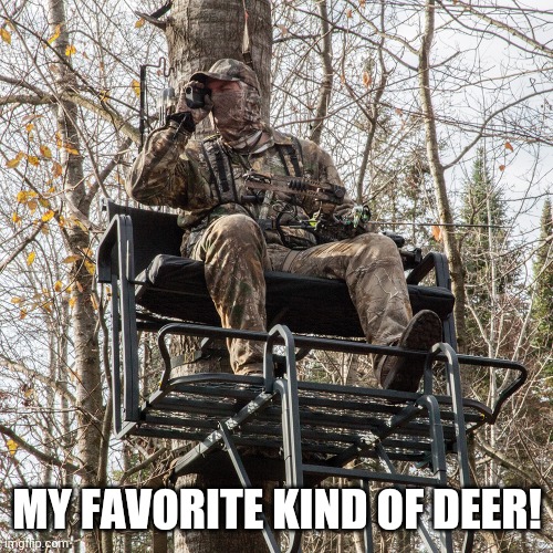 Tree stand | MY FAVORITE KIND OF DEER! | image tagged in tree stand | made w/ Imgflip meme maker