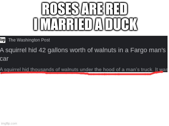 squirrel | I MARRIED A DUCK; ROSES ARE RED | image tagged in blank white template | made w/ Imgflip meme maker