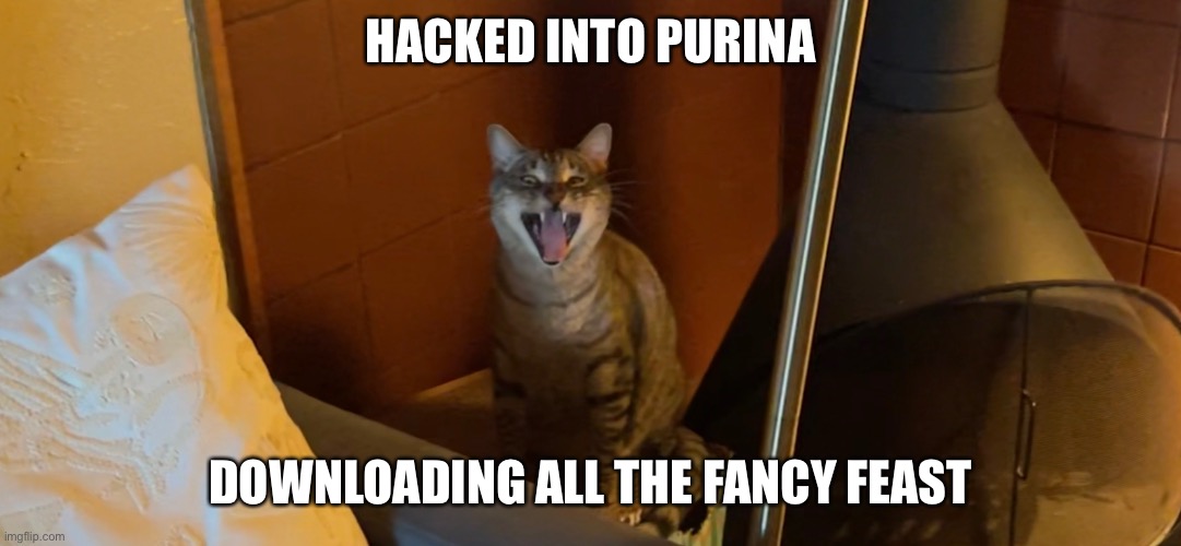 Hacked into Fancy Feast | HACKED INTO PURINA; DOWNLOADING ALL THE FANCY FEAST | image tagged in cats,funny cat memes | made w/ Imgflip meme maker