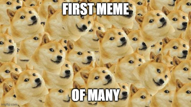 your welcome |  FIRST MEME; OF MANY | image tagged in memes,multi doge | made w/ Imgflip meme maker