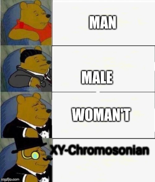 Sequel to XX-Chromosomian | MAN; MALE; WOMAN'T; XY-Chromosonian | image tagged in tuxedo winnie the pooh 4 panel,meme man,woman,men | made w/ Imgflip meme maker