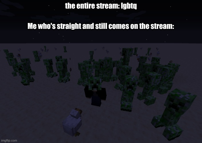 there's 1 impostor among us "minecraft edition" | the entire stream: lgbtq; Me who's straight and still comes on the stream: | image tagged in there's 1 impostor among us minecraft edition | made w/ Imgflip meme maker