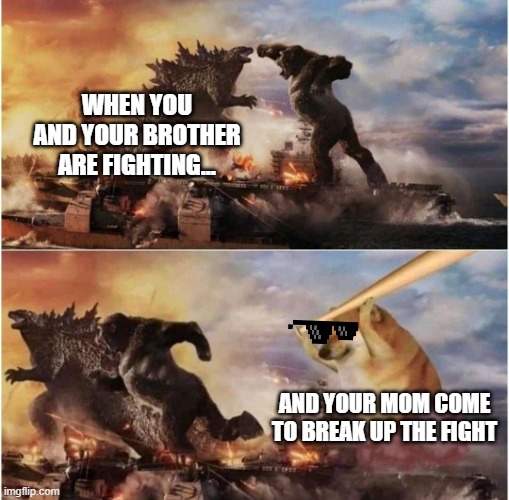 Kong Godzilla Doge | WHEN YOU AND YOUR BROTHER ARE FIGHTING... AND YOUR MOM COME TO BREAK UP THE FIGHT | image tagged in kong godzilla doge | made w/ Imgflip meme maker