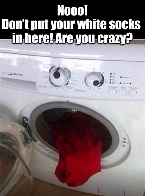 Everything Will Come Out Pink | Nooo!
Don’t put your white socks 
in here! Are you crazy? | image tagged in funny memes,laundry | made w/ Imgflip meme maker