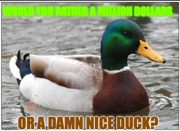 Actual Advice Mallard Meme | WOULD YOU RATHER A MILLION DOLLARS; OR A DAMN NICE DUCK? | image tagged in memes,actual advice mallard | made w/ Imgflip meme maker