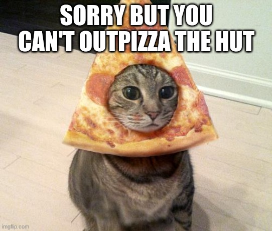 pizza cat | SORRY BUT YOU CAN'T OUTPIZZA THE HUT | image tagged in pizza cat | made w/ Imgflip meme maker