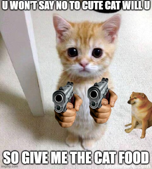 give cat food | U WON'T SAY NO TO CUTE CAT WILL U; SO GIVE ME THE CAT FOOD | image tagged in memes,cute cat | made w/ Imgflip meme maker