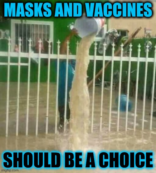 Logic | MASKS AND VACCINES; SHOULD BE A CHOICE | image tagged in throwing water over fence,conservative logic,stupid people,antivax,antimask,covid-19 | made w/ Imgflip meme maker