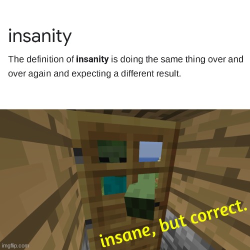 insanity | image tagged in minecraft | made w/ Imgflip meme maker