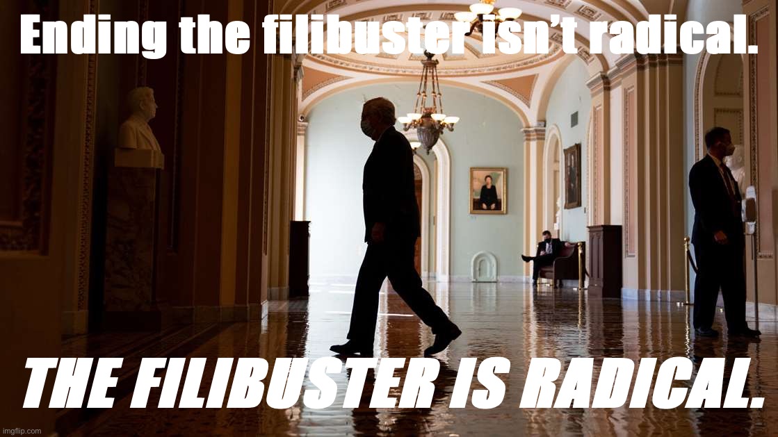 Can you name any other democracies that impose a supermajority requirement for routine legislation? I’ll wait | Ending the filibuster isn’t radical. THE FILIBUSTER IS RADICAL. | image tagged in mitch mcconnell scorched earth senate,senate,senators,government,filibuster,democracy | made w/ Imgflip meme maker