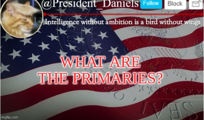 i am confused | WHAT ARE THE PRIMARIES? | made w/ Imgflip meme maker