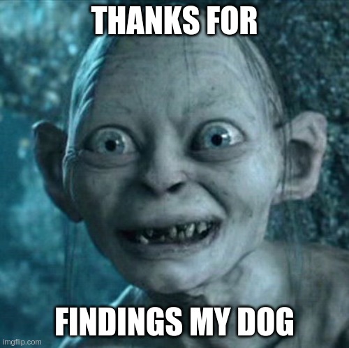 Gollum Meme | THANKS FOR FINDINGS MY DOG | image tagged in memes,gollum | made w/ Imgflip meme maker