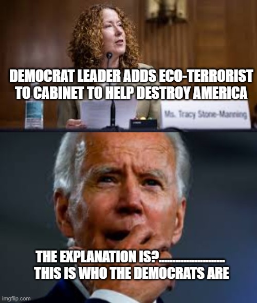 Democrat Leader confirms who the Democrats really are. | DEMOCRAT LEADER ADDS ECO-TERRORIST TO CABINET TO HELP DESTROY AMERICA; THE EXPLANATION IS?........................  THIS IS WHO THE DEMOCRATS ARE | image tagged in biden,sad joe biden,terrorist,democrats,dementia | made w/ Imgflip meme maker