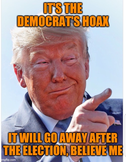 Trump pointing | IT'S THE DEMOCRAT'S HOAX IT WILL GO AWAY AFTER THE ELECTION, BELIEVE ME | image tagged in trump pointing | made w/ Imgflip meme maker