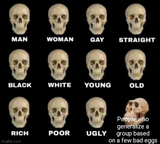 No generalizationsz | People who generalize a group based on a few bad eggs | image tagged in man woman gay straight skull,general,skull,idiot skull | made w/ Imgflip meme maker