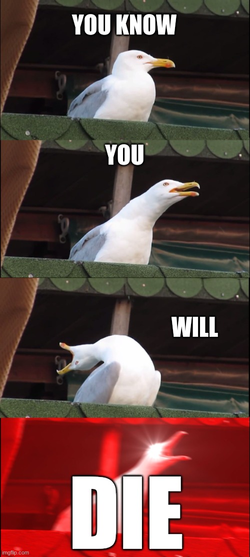 Inhaling Seagull | YOU KNOW; YOU; WILL; DIE | image tagged in memes,inhaling seagull | made w/ Imgflip meme maker