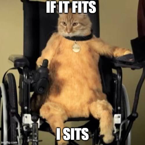 Wheelchair cat | IF IT FITS; I SITS | image tagged in wheelchair,handicapped,cats,funny,fun,memes | made w/ Imgflip meme maker