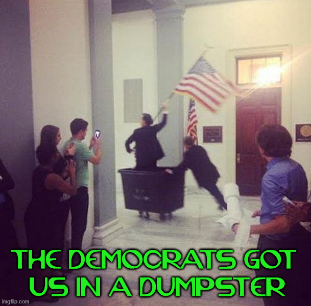 THE DEMOCRATS GOT 
US IN A DUMPSTER | image tagged in conservatives | made w/ Imgflip meme maker