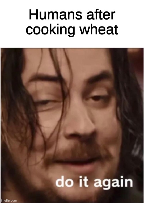 toast be like | Humans after cooking wheat | image tagged in do it again,bread,toast,funny,memes,history | made w/ Imgflip meme maker