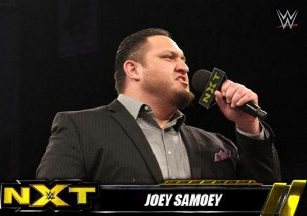 WWE NXT Joey Samoey Blank Meme Template