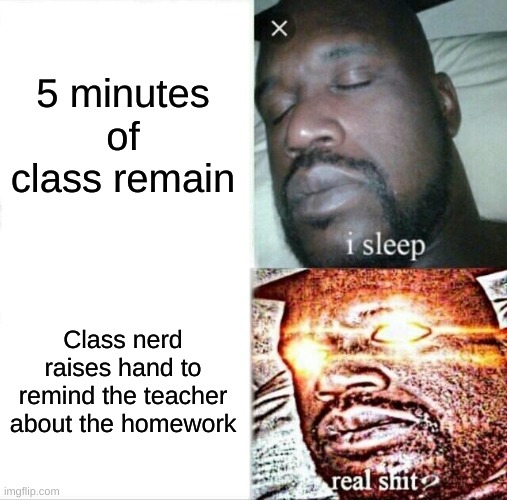 thats kinda me sometimes | 5 minutes of class remain; Class nerd raises hand to remind the teacher about the homework | image tagged in memes,sleeping shaq | made w/ Imgflip meme maker
