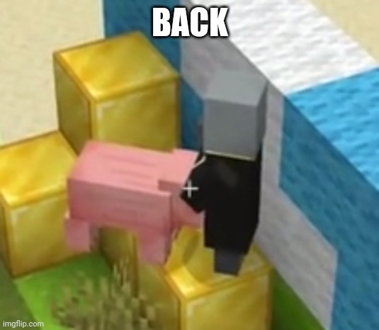 Pig giving evoker head | BACK | image tagged in pig giving pillager head | made w/ Imgflip meme maker