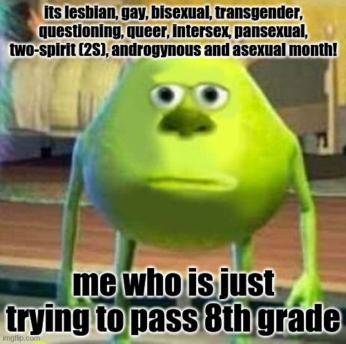 why do we need to learn this stuff | its lesbian, gay, bisexual, transgender, questioning, queer, intersex, pansexual, two-spirit (2S), androgynous and asexual month! me who is just trying to pass 8th grade | image tagged in mike wasowski sully face swap | made w/ Imgflip meme maker