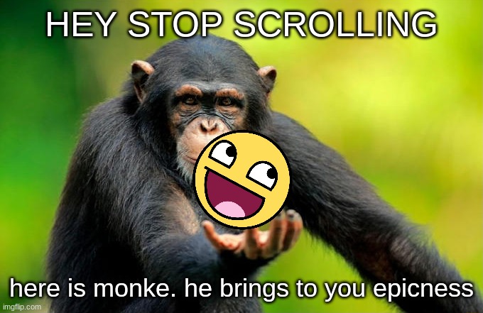 monke | HEY STOP SCROLLING; here is monke. he brings to you epicness | image tagged in monke | made w/ Imgflip meme maker