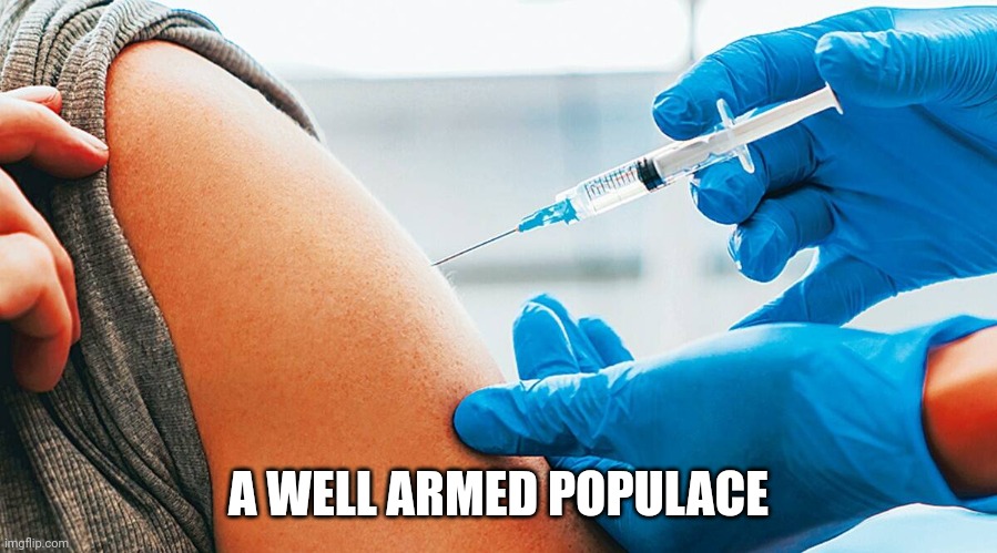 COVID vaccination | A WELL ARMED POPULACE | image tagged in covid vaccination | made w/ Imgflip meme maker