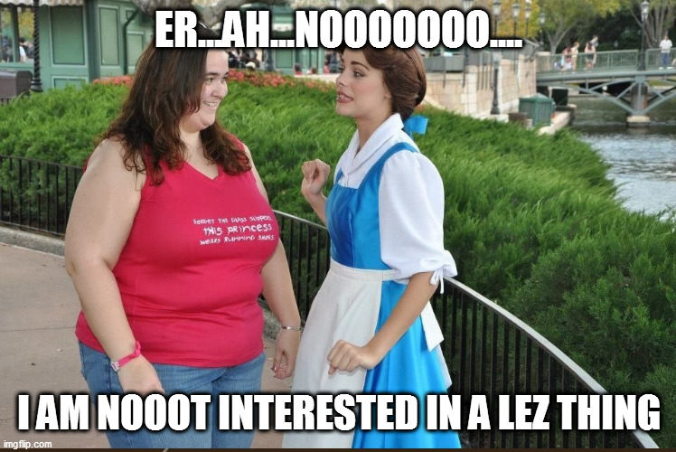 It's No White | ER...AH...NOOOOOOO.... I AM NOOOT INTERESTED IN A LEZ THING | image tagged in lez,romance | made w/ Imgflip meme maker