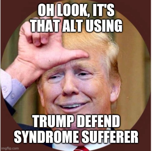 Trump loser | OH LOOK, IT'S THAT ALT USING TRUMP DEFEND SYNDROME SUFFERER | image tagged in trump loser | made w/ Imgflip meme maker