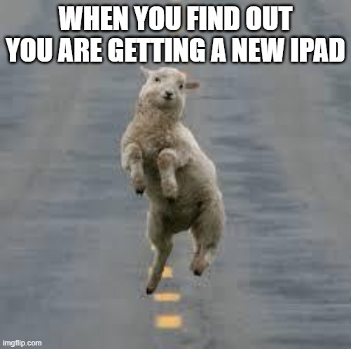 dancing sheep | WHEN YOU FIND OUT YOU ARE GETTING A NEW IPAD | image tagged in dancing sheep | made w/ Imgflip meme maker