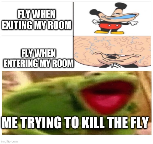 Blank White Template | FLY WHEN EXITING MY ROOM; FLY WHEN ENTERING MY ROOM; ME TRYING TO KILL THE FLY | image tagged in blank white template | made w/ Imgflip meme maker