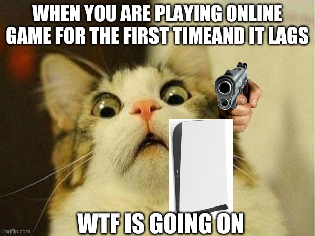 Scared Cat | WHEN YOU ARE PLAYING ONLINE GAME FOR THE FIRST TIMEAND IT LAGS; WTF IS GOING ON | image tagged in memes,scared cat | made w/ Imgflip meme maker