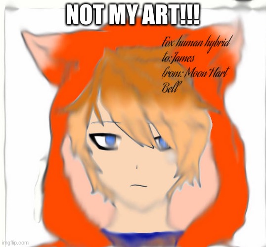 fox guy | NOT MY ART!!! | image tagged in fox guy | made w/ Imgflip meme maker